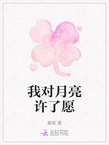 我對月亮許了愿