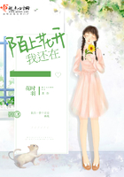 陌上花開我還在在線閱讀