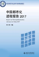 中国都市化进程报告2017