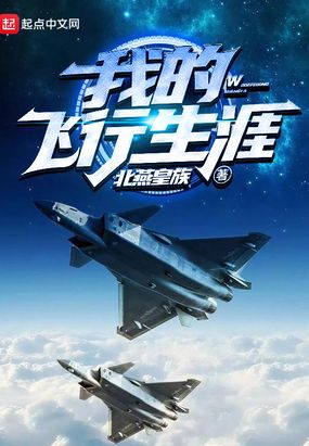 我的飞行生涯在线阅读
