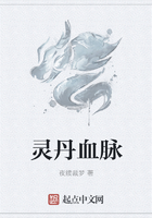 灵丹血脉在线阅读