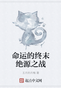 命運的終末絕源之戰