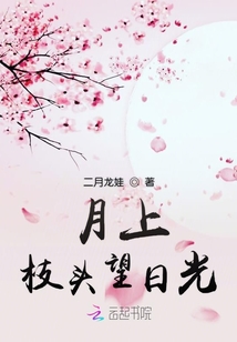 月上枝頭望日光