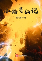 小猫寻仙记在线阅读