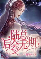 陸總，后會無期在線閱讀