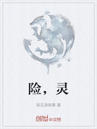险,灵在线阅读
