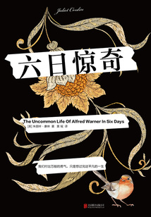 六日驚奇