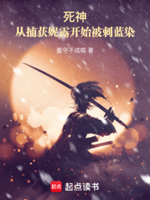 死神：捕獲妮莉艾露開始破防藍染