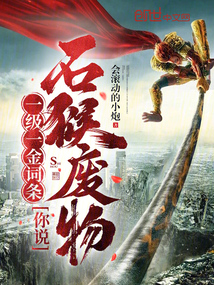 一級一金詞條,你說石猴廢物?