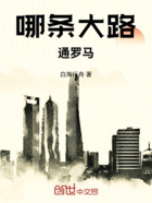 哪条大路通罗马在线阅读
