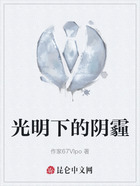 光明下的阴霾在线阅读