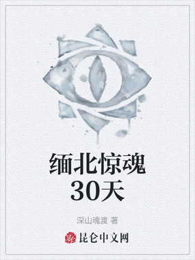 缅北惊魂30天在线阅读