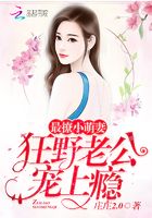 最撩小萌妻：狂野老公，寵上癮在線閱讀