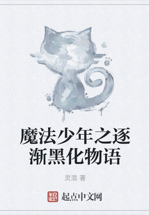 魔法少年之逐渐黑化物语
