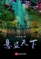 懸盜天下在線閱讀