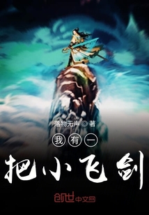 我有一把小飛劍