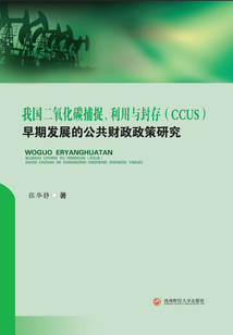 我國二氧化碳捕捉、利用與封存(CCUS)早期發展的公共財政政策研究