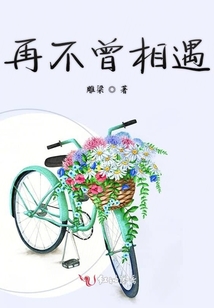再不曾相遇