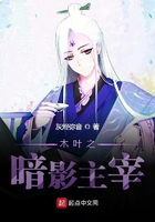我对忍术没有兴趣