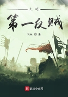 大明第一反賊在線閱讀