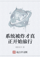 系统被炸才真正开始旅行在线阅读
