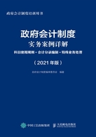 政府会计制度实务案例详解：科目使用规则+会计分录编制+特殊业务处理（2021年版）