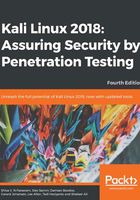 Kali Linux 2018：Assuring Security by Penetration Testing在线阅读