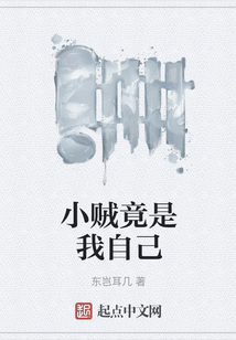 小贼竟是我自己