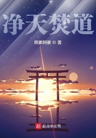 凈天焚道在線閱讀