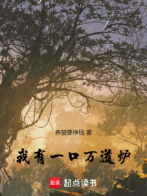 我有一口萬道爐