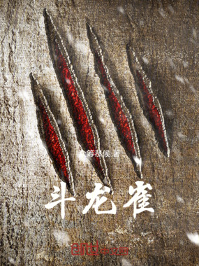 斗龙雀在线阅读