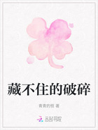 藏不住的破碎在线阅读