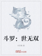 斗罗:世无双在线阅读