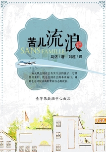苦兒流浪記