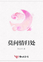 莫問情歸處在線閱讀