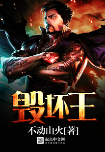 毁坏王