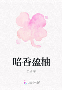 暗香盈柚