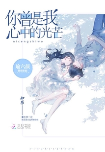 你曾是我心中的光芒