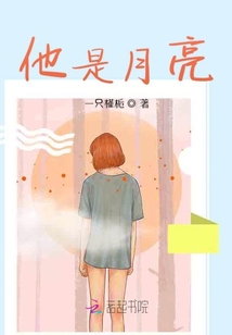 他是月亮
