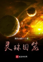 灵珠囚笼在线阅读