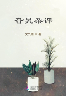 旮旯雜評