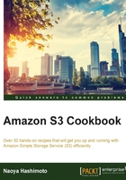 Amazon S3 Cookbook在线阅读