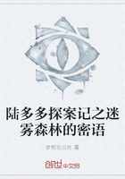 陆多多探案记之迷雾森林的密语在线阅读
