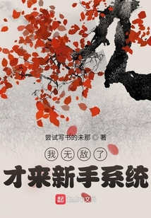 我無敵了,才來新手系統