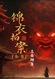 锦衣拍案（合集）