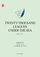 海底两万里（Twenty Thousand Leagues Under the Sea）在线阅读