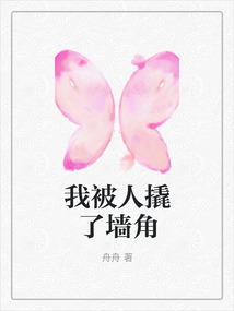 我被人撬了墻角