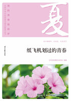 “我的青春我的梦”全国中学生校园美文精品集萃丛书:纸飞机划过的青春在线阅读
