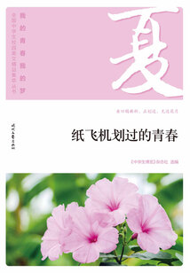 “我的青春我的夢”全國中學生校園美文精品集萃叢書:紙飛機劃過的青春
