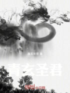 青玄圣君在线阅读